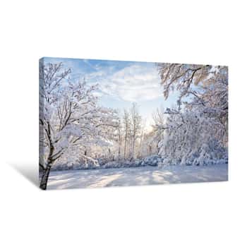 Image of Snowy Winter Sunrise Scene Canvas Print