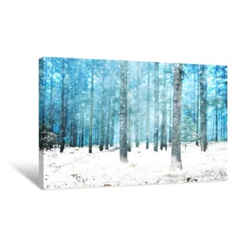 Image of Beautiful Snowy Dreamy Winter Conifer Forest  Color Filter Effect Used Canvas Print