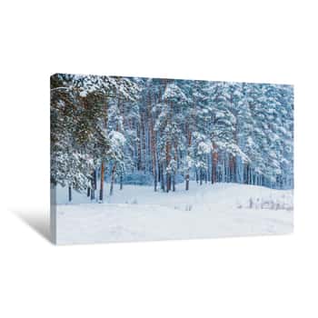 Image of Winter Forest With Snow And Hoarfrost On Trees Canvas Print