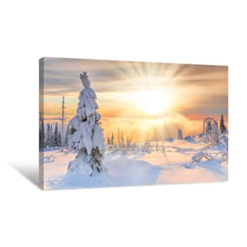 Image of Sunray In Winter Canvas Print