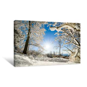 Image of Heitere Winterlandschaft Mit Sonne, Schnee Auf Bäumen Und Blauem Himmel Canvas Print
