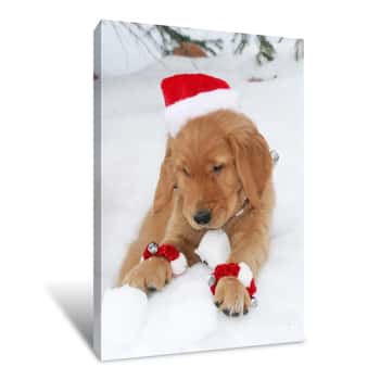 Image of Christmas Puppy Canvas Print