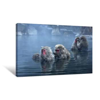 Image of Primates In Hot Springs Canvas Print