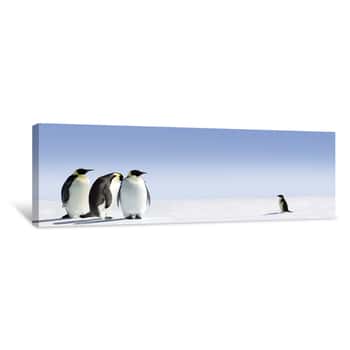 Image of Baby Penguin Exploration Canvas Print