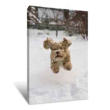 Image of Prancing Doggy Canvas Print