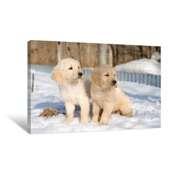 Image of Two Puppies In Snow Canvas Print