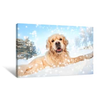 Image of A Dog\' In The Snow Canvas Print
