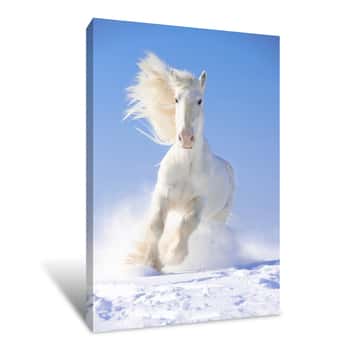 Image of White Horse Run Canvas Print