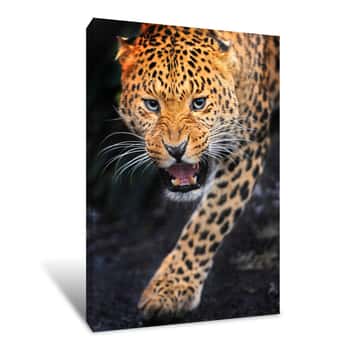 Image of Leopard Pounce Canvas Print