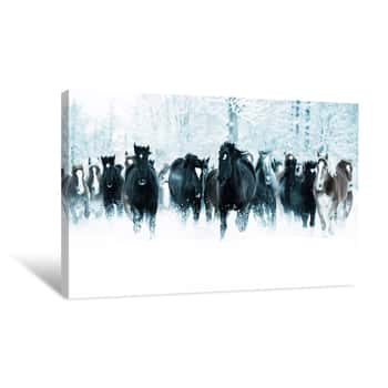 Image of Horse Stampede Canvas Print