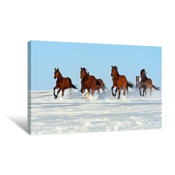 Image of Pack Of Horses Canvas Print
