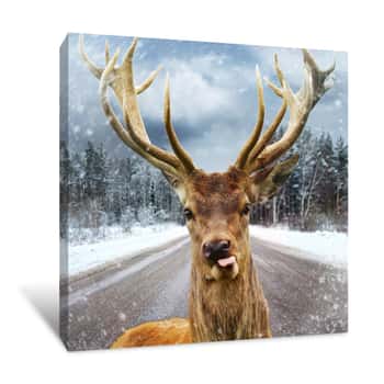 Image of Goofy Winter Deer Canvas Print