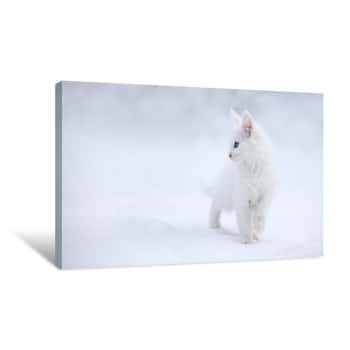 Image of Cat White as Snow Canvas Print