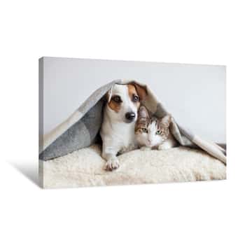 Image of Dog And Cat Together Canvas Print