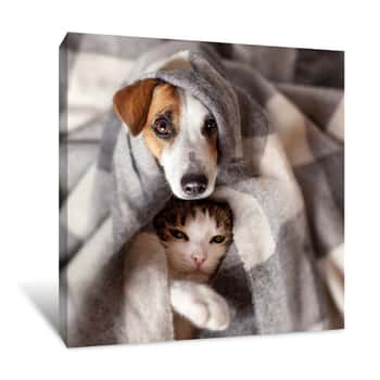 Image of Dog And Cat Under A Plaid Canvas Print