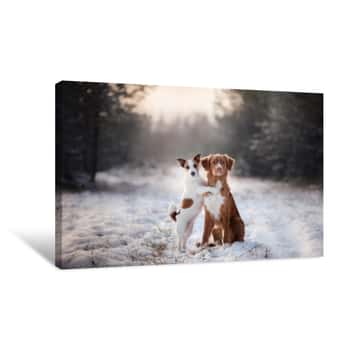 Image of Two Dogs Winter Mood, Friendship And Love Canvas Print