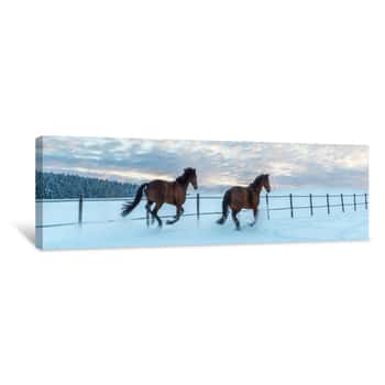 Image of Zwei Pferde - Westfalen - Rennen Abends Durch Den Schnee Canvas Print