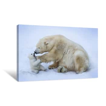 Image of Polar Bear With Mom Canvas Print
