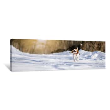 Image of Beagle Dog Runs And Plays In The Winter Forest On A Sunny Frosty Day Canvas Print