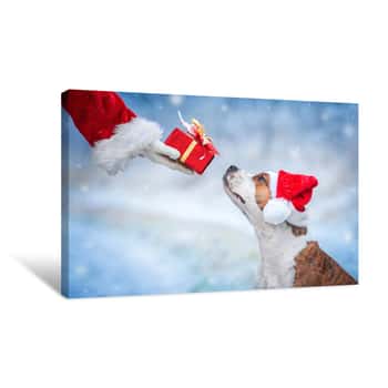 Image of American Staffordshire Terrier Dog With A Christmas Hat Taking A Present From Santa\'s Hand Canvas Print