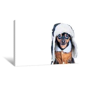 Image of Dog In Clothes Isolated, Space For Text  That Terrier In A Hat With A Fur Hat And A Sheepskin Coat Canvas Print