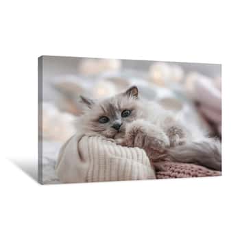 Image of Cute Cat With Knitted Blanket In Basket At Home  Warm And Cozy Winter Canvas Print