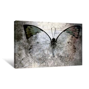 Image of Butterfly Canvas Print
