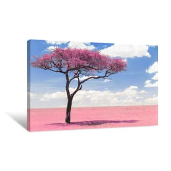Image of Fantasy And Nature Concept - Pink Acacia Tree In Maasai Mara National Reserve Savannah In Africa, Surreal Infrared Effect Canvas Print