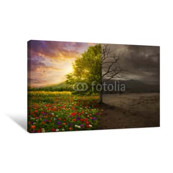 Image of Life And Death Canvas Print