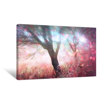 Image of Abstract Photo Of Light Burst Among Trees And Glitter Bokeh Ligh Canvas Print
