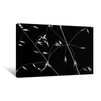 Image of Crossed Lines Canvas Print