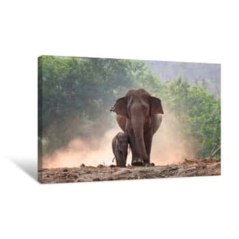 Image of Mother And Baby Elephant Walk Together Canvas Print