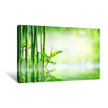 Image of Bamboo Background - Lush Foliage With Reflection In The Water Canvas Print