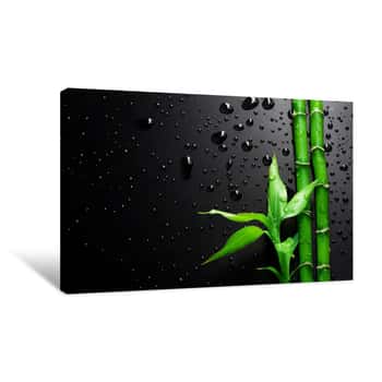 Image of Bamboo Over Black Canvas Print