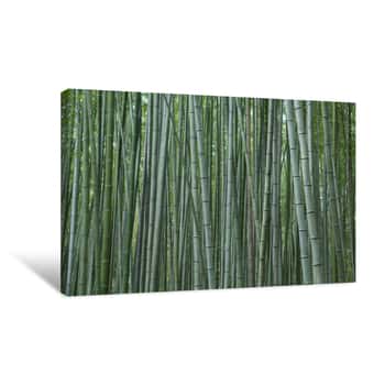 Image of Bamboo Forest At Kyoto, Japan Canvas Print