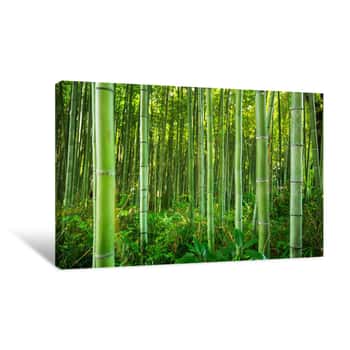 Image of Bamboo Forest Of Arashiyama Near Kyoto, Japan Canvas Print