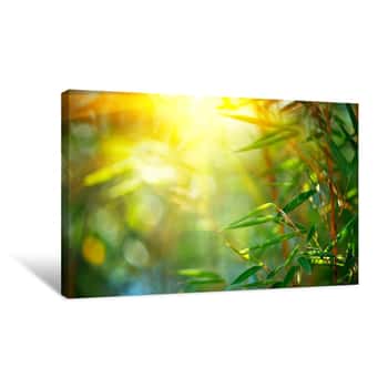Image of Bamboo Forest  Growing Bamboo Over Blurred Sunny Background  Nature Backdrop Canvas Print