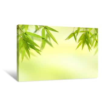 Image of Bamboo Leaf And Light Soft Green Background Canvas Print