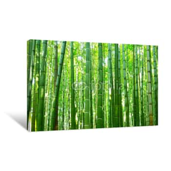 Image of Beautiful Bamboo Forest Of Arashiyama Near Kyoto, Japan Canvas Print