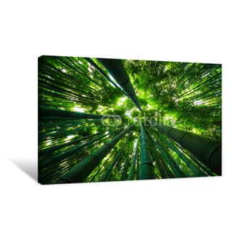 Image of Kyoto, Japan - August 2017 Canvas Print