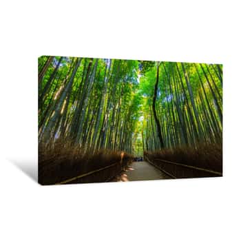 Image of Bamboo Groves Canvas Print