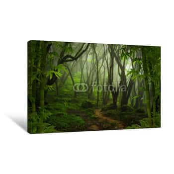 Image of Tropical Jungle Canvas Print