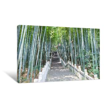Image of Bamboo Forest And Stone Steps Canvas Print