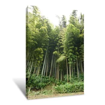 Image of Bamboo Jungle Canvas Print