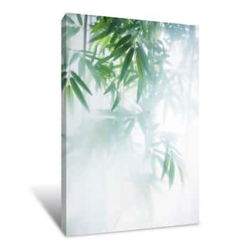 Image of Green Bamboo In The Fog With Stems And Leaves Behind Frosted Glass Canvas Print