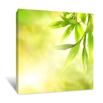 Image of Green Bamboo Leaves Over Abstract Blurred Background Canvas Print