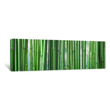 Image of Green Bamboo Background Canvas Print