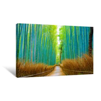 Image of Beautiful Bamboo Forest In Arashiyama At Kyoto Canvas Print