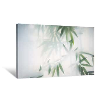 Image of Green Bamboo In The Fog With Stems And Leaves Behind Frosted Glass Canvas Print