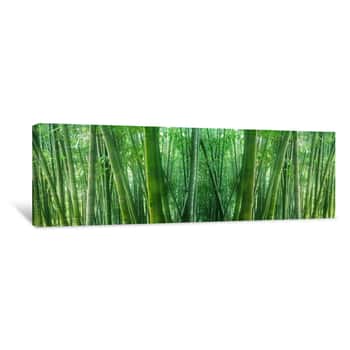 Image of Asian Bamboo Canvas Print